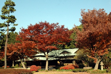 Tokyo-Imperial-Palace-FukiageGarden.jpg