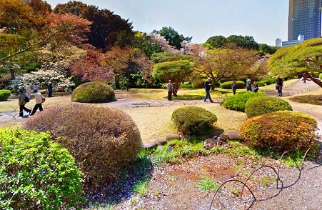 Shinjuku-Gyoen-WalkingPaths.jpg