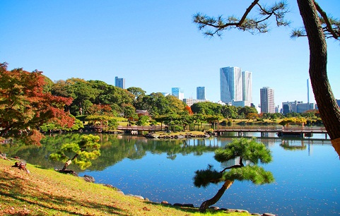 Hamarikyu-Gardens-View.jpg