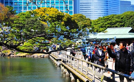 Hamarikyu-Gardens-Moat.jpg