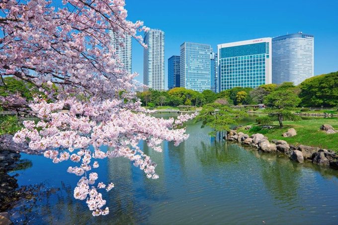 Hamarikyu-Gardens-Pond.jpg