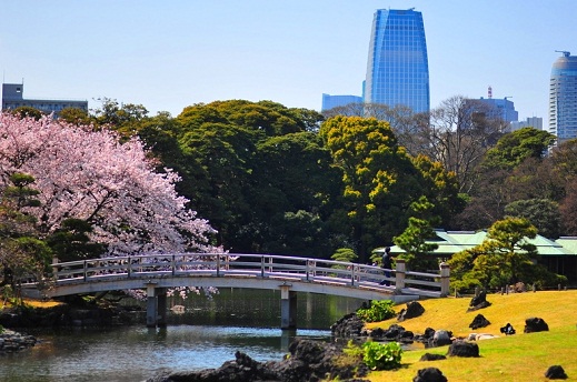 Hamarikyu-Gardens-Bridge.jpg