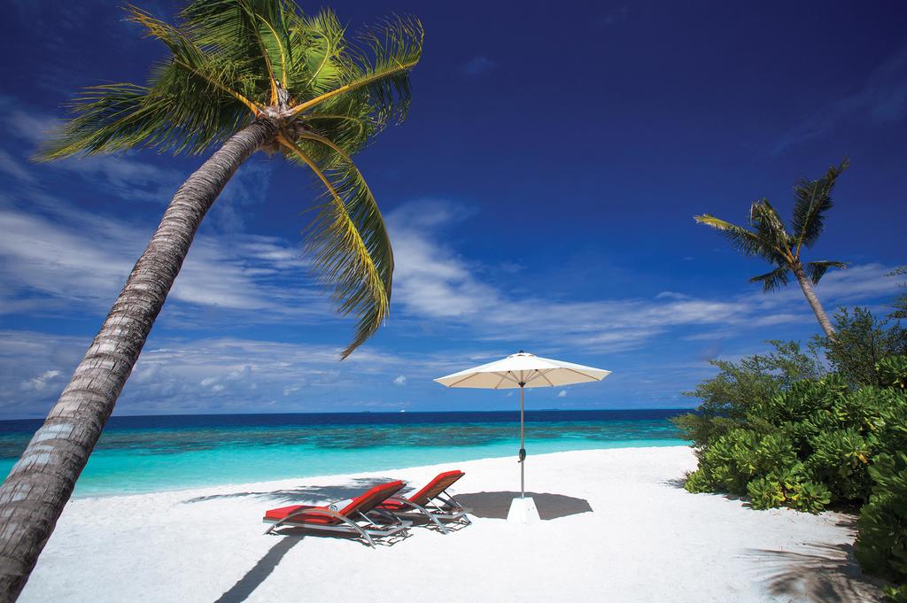 maldive-islands-tourism.jpg