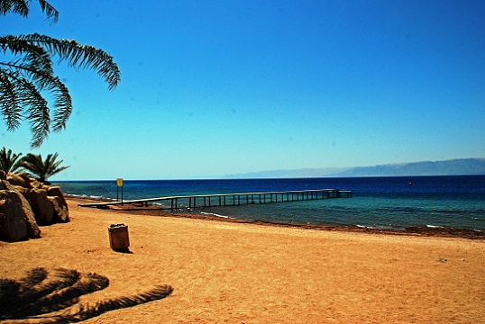 Aqaba-Marine-Park-Tour.jpg