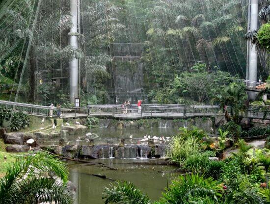 Kuala-Lumpur-Bird-Park-Inside.jpg