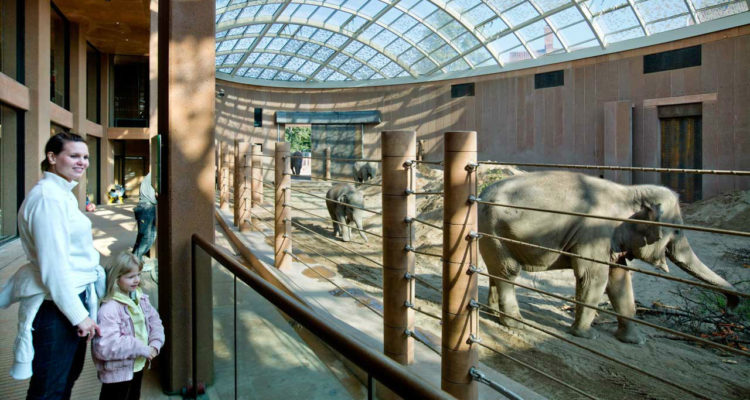 Copenhagen-Zoo-Elephant-house.jpg