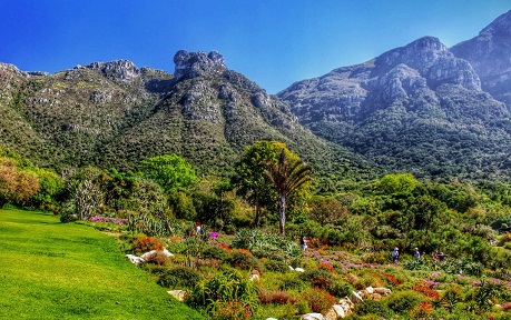 ountain-National-Park-KirstenboschBotanicalGardens.jpg