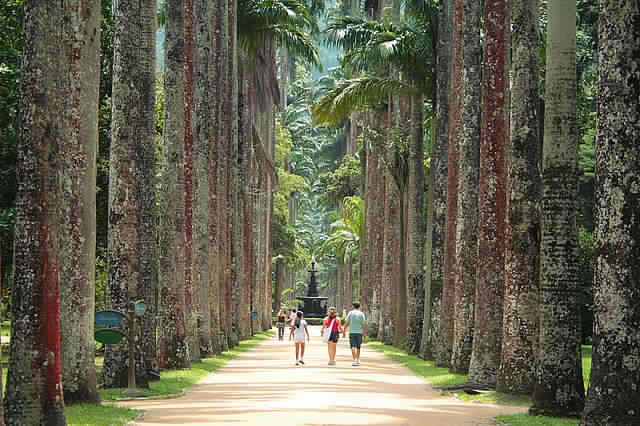 Rio-de-Janeiro-Brazil.jpg