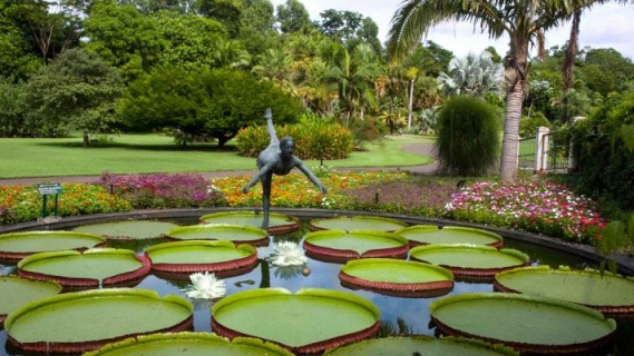 Botanical-garden-of-Sao-Paulo-lakes.jpg