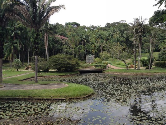 Botanical-garden-of-Sao-Paulo-1.jpg