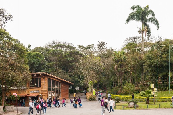 Sao-Paulo-zoo-2-2.jpg