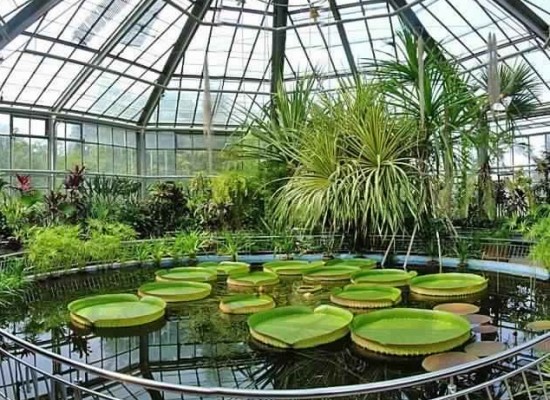 Glasshouses-2.jpg