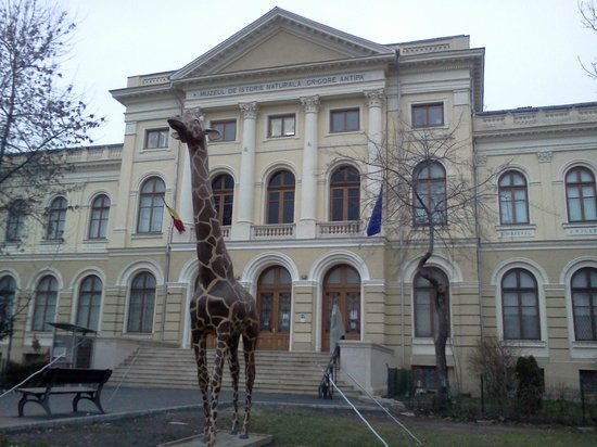 Natural-History-Museum-Bucharest.jpg