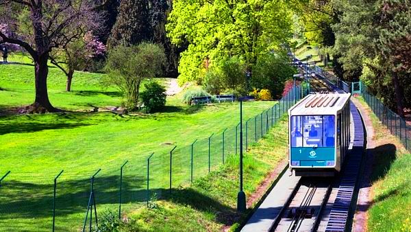 Pet%C5%99%C3%ADn-Hill-Observation-Tower-Tram.jpg