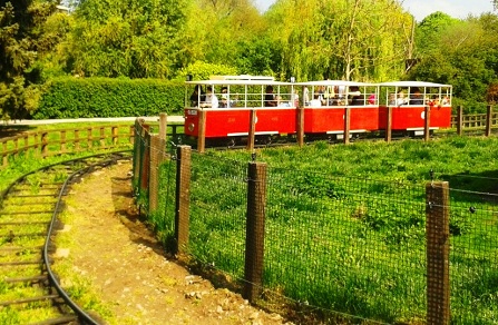 Prague-Zoo-TrainRide.jpg