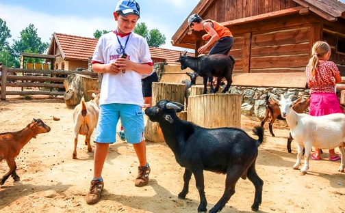 Prague-Zoo-ChildrensZoo.jpg