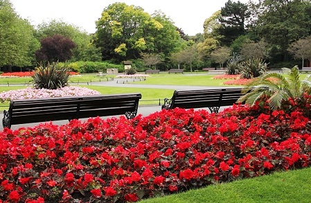 St-Stephens-Green-Park-Nature.jpg