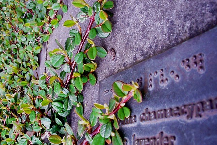 St-Stephens-Green-Park-GardenForTheBlind.jpg