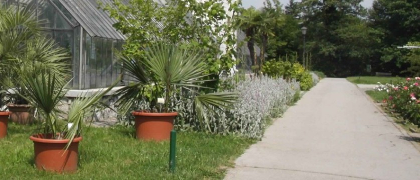 Botanical-Glasshouse.jpg