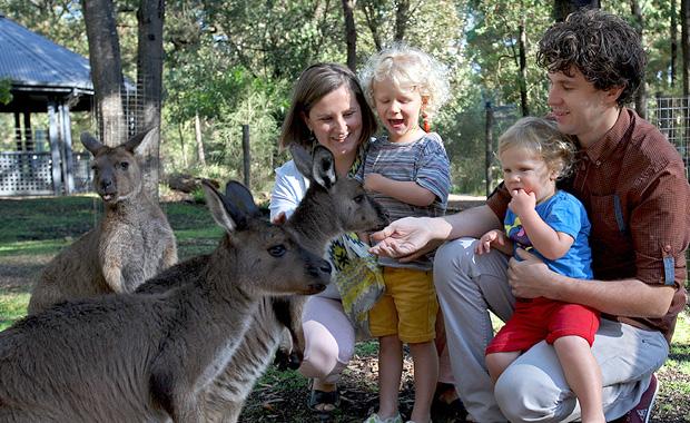 Personal-Interaction-with-animals.jpg