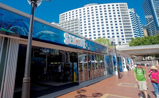 Sea-Life-Sydney-Aquarium-Building.jpg