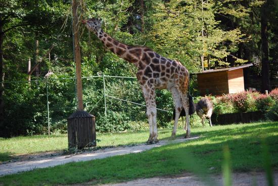 Ljubljana-zoo.jpg