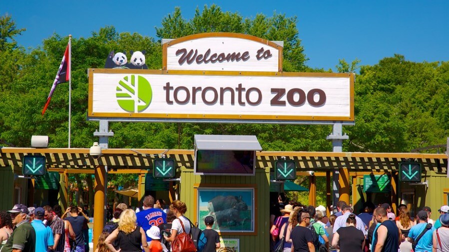 toronto-zoo-%E2%80%AB2%E2%80%AC-%E2%80%AB%E2%80%AC.jpg