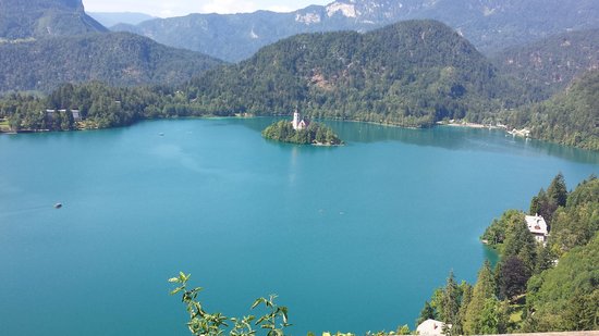 what-a-view-from-bled.jpg