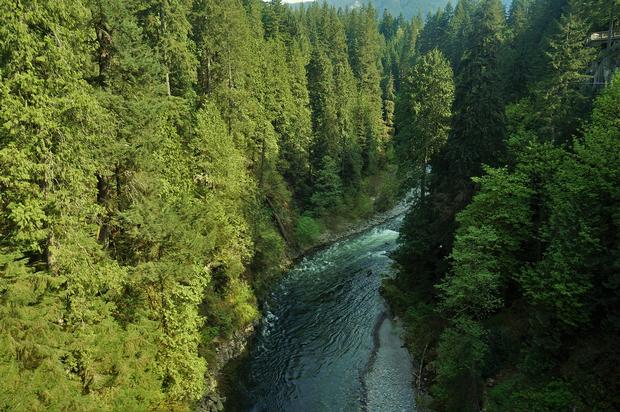 Capilano-Suspension-Bridge.jpg