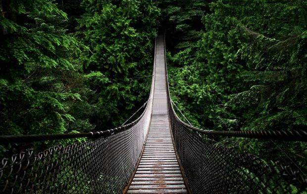 Capilano-Suspension-Bridge-3.jpg