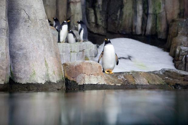 Montreal-Biodome-2.jpg