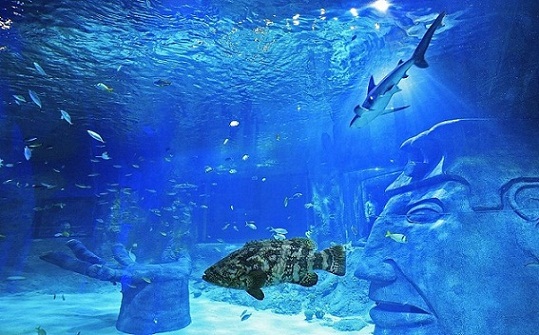 SEA-LIFE-Orlando-Aquarium-Tour.jpg