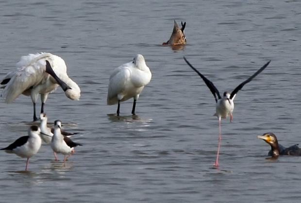 wetland-park-4.jpg