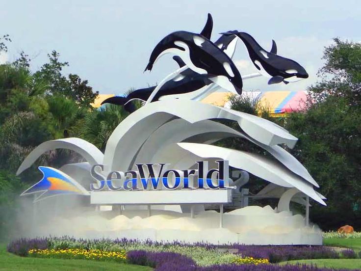 SeaWorld-Orlando.jpg