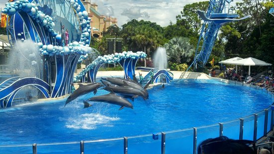 SeaWorld-Orlando-DolphinTheatre.jpg