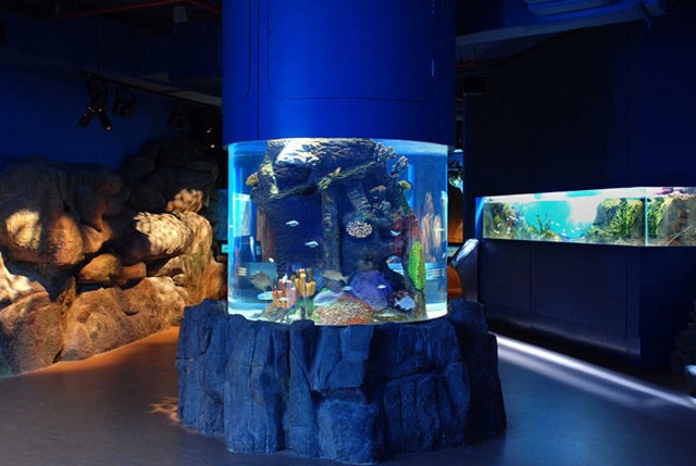 Sharjah-Aquarium-7.jpg