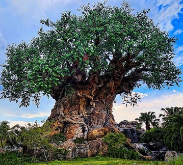 Disneys-Animal-Kingdom-TreeOfLife.jpg