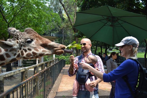 guangzhou-zoo.jpg