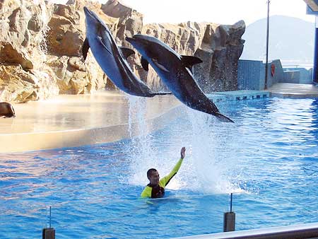 guangzhou-zoo-ocean-world.jpg