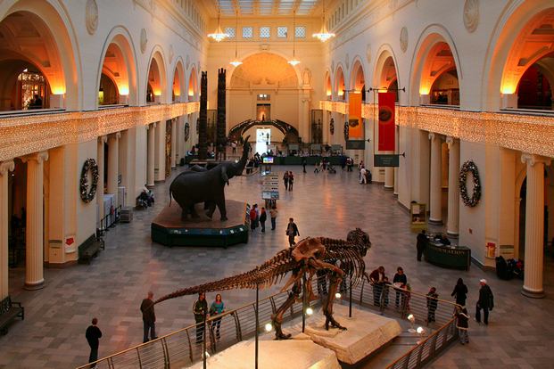 1554924348_239_field-museum-of-natural-history.jpg