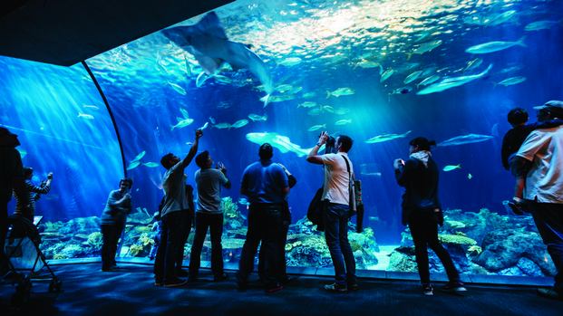 Shedd-Aquarium-chicago.jpg