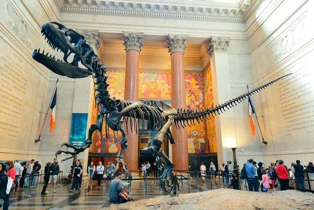 24346_121_The-American-Museum-of-Natural-History-5.jpg