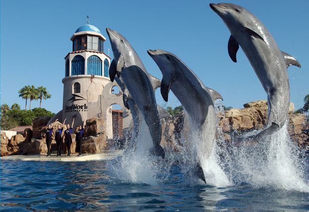 SeaWorld-San-Diego-1.jpg