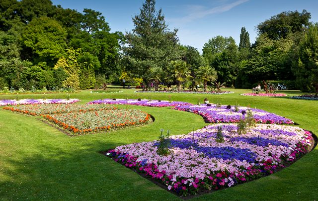 Hakgala-Botanical-Garden.jpg