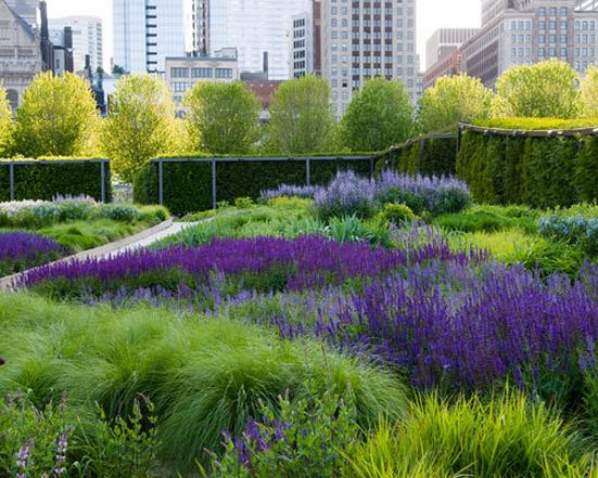 Lurie-garden-millennium-park.jpg