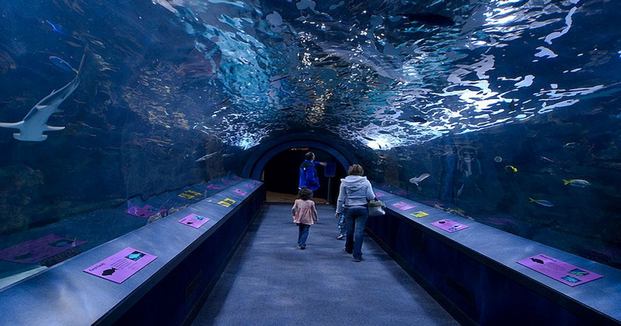 Shedd-Aquarium-chicago-2.jpg