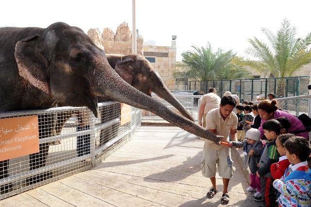 Emirates-Park-Zoo.jpg