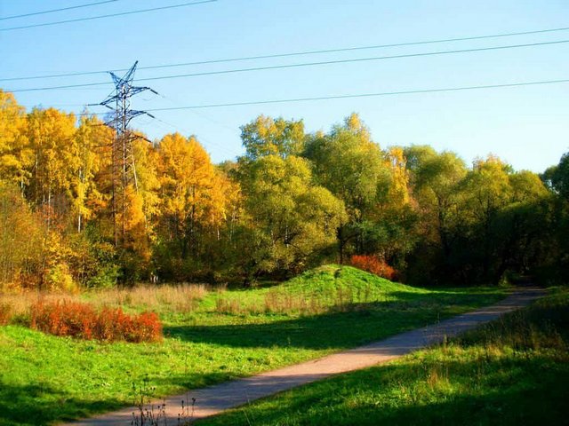 Losiny-Ostrov-National-Park.jpg