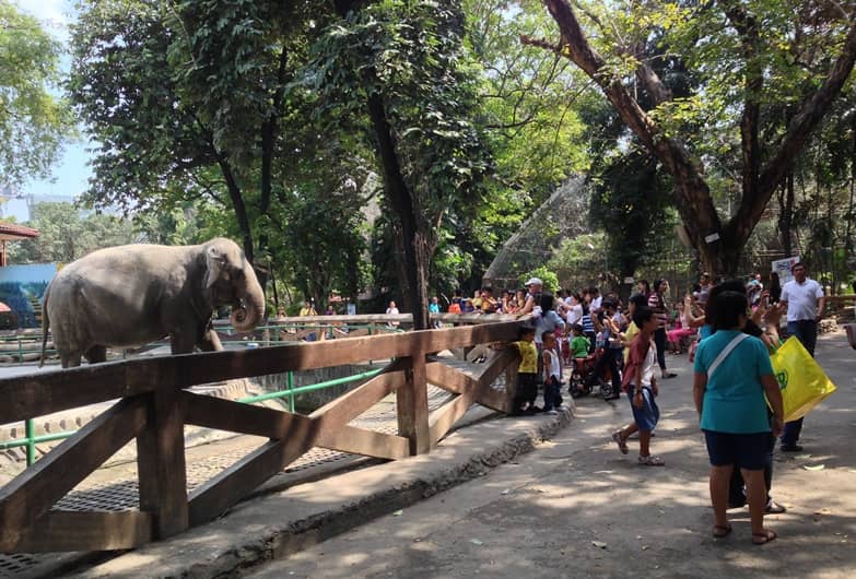 The-Manila-Zoo-2.jpg