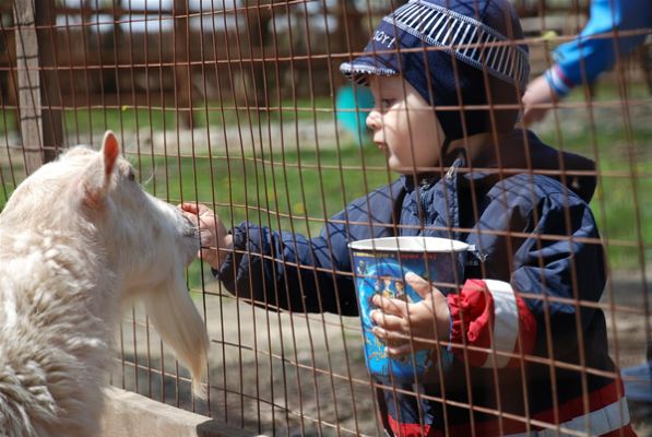 Moscow-Zoo-25-1.jpg